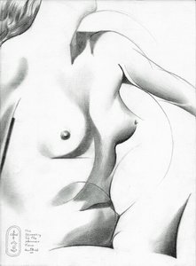 The Geometry of the Human Form by Corné Akkers