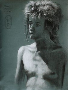 Wild Hair Shadow Portrait