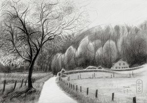 Winding Country Path