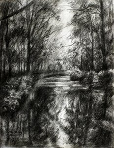 Winding Forest Path by Corné Akkers