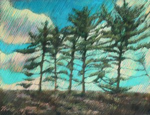 Windswept Pine Trees by Corné Akkers