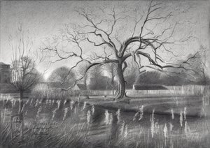 Winter Tree Reflections by Corné Akkers