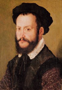 Portrait of a Man with Brown Hair