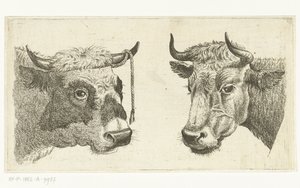 Head of a Bull with Rope on Horn and Head of a Cow by Cornelis  Bisschop
