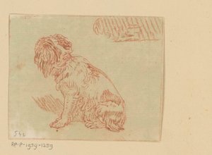 Sitting Dog