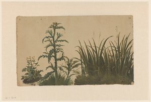 Thistle and Reed