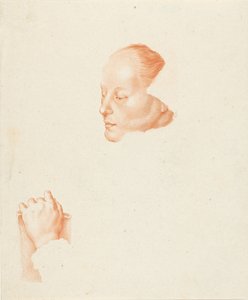 Portrait of a Young Woman