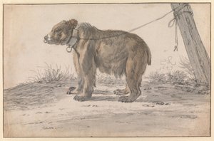 A Bear on a Rope by Cornelis Saftleven