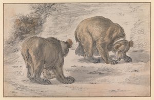 A Bear in Various Poses by Cornelis Saftleven