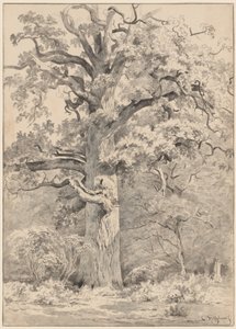 A Giant Oak at the Edge of a Forest by Cornelis Steffelaar
