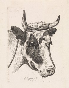 Head of a Spotted Cow (First Suite) by Cornelis Steffelaar