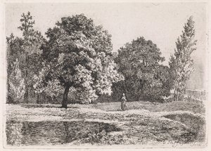 Landscape with Trees, Lake, and a Woman (Fifth Suite) by Cornelis Steffelaar