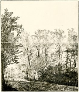 Trail Through a Forest by Hendrick Cornelisz. Vroom