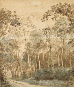 Wooded Landscape by Hendrick Cornelisz. Vroom