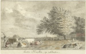 Cows in a Meadow by Cornelis van Noorde