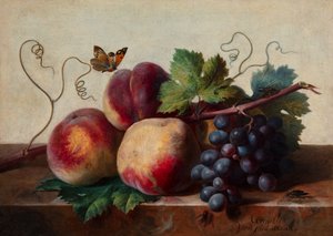 Still Life of Peaches and Grapes on a Marble Table with a Butterfly and Other Insects