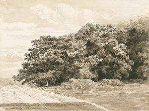 Wrottesley Hall - The Shrubbery, 1820 by Cornelius Varley