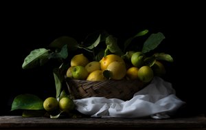 Rustic Lemon Basket by Corrado La Licata