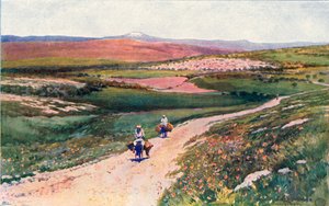 Cana from the Road to Nazareth