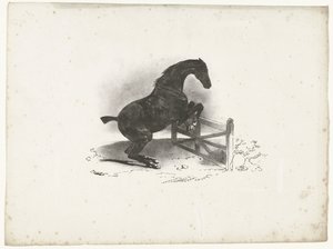 Horse Jumping Over a Fence by Courtin