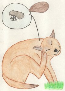 The Naughty Flea by Crazy Artist