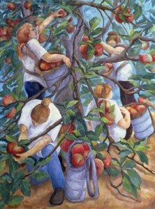 Apple Pickers