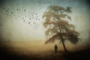 Lone Man Autumn Mist by Cristiano Giani