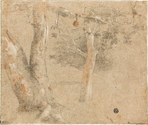 Sketches of Trees by Cristofano Allori