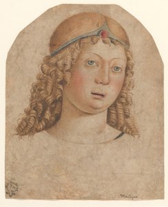 Head of a Youth with a Diadem, late 15th-early 16th century by Cristoforo Caselli