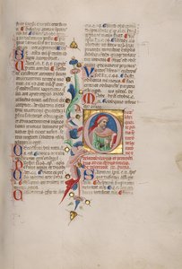 Initial Q: Bust Portrait of a Bearded Man by Cristoforo Cortese