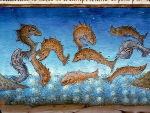 The End of the World: The Fish Will Swim Above