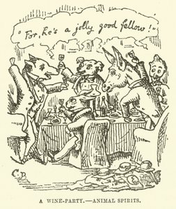 Illustration for Little Mr Bouncer and His Friend Verdant Green by Cuthbert Bradley