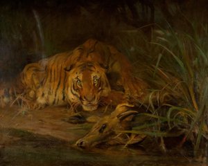 Tiger And Prey, 1931