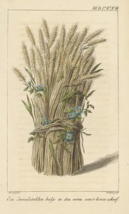 Bowl in the shape of a corn-sheaf by D. Sluyter