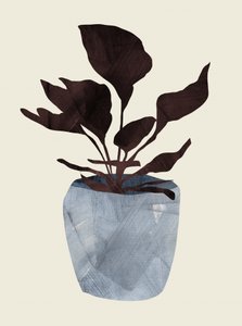 Country Plant by Dan Hobday