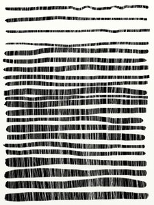 Lines by Dan Hobday