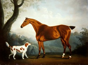 Bay hunter and spaniel in a wooded landscape by Daniel Clowes