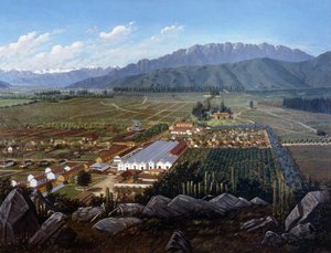 The Vineyard of Erranzuriz-Panquehue, Chile by Daniel Escobar