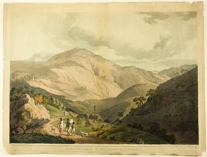 Sandy Bay Valley, St. Helena by Daniel Havell