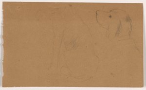 Dash (a Setter), Head and Body, ca. 1862 by Daniel Huntington