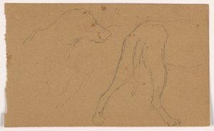 Milo (a Pointer), Head and Body, ca. 1862 by Daniel Huntington