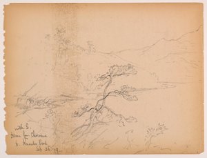 Drive from Chocorua to Knowles Pond by Daniel Huntington
