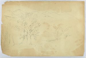 Mountain Landscape