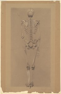 Rear View of a Skeleton by Daniel Huntington
