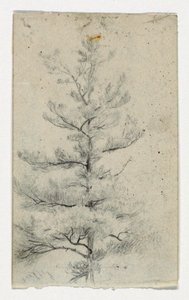 Sketch of a Tree by Daniel Huntington