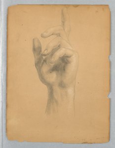 Study of Angel