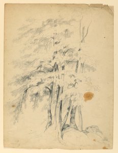 Study of Black Birches by Daniel Huntington