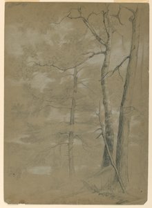 Study of Hemlock and Beech, White Lake by Daniel Huntington