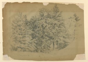 Study of Trees, North Conway, New Hampshire by Daniel Huntington