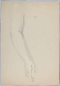 Study of an Arm for 